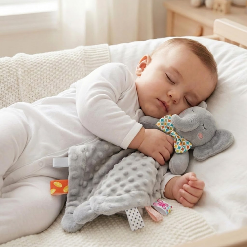 Toddla™ Security Blanket